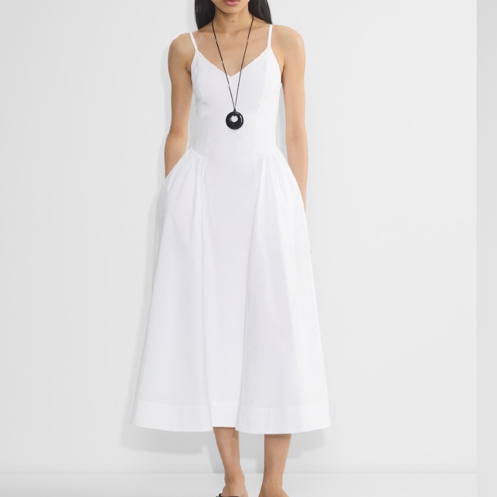 Aritzia Babaton Technique Poplin Dress